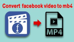 Facebook video download converter